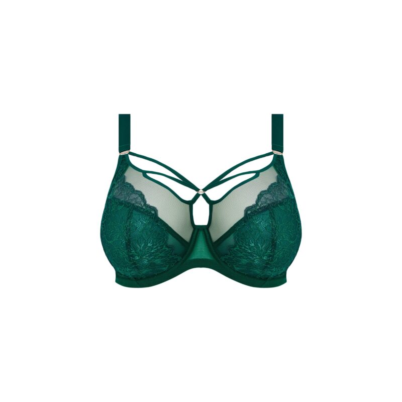 Lingerie By M - Elomi Lingerie BRIANNA BH niet voorgevormd plunge rainforest green - Creëer een stijlvolle look met de Elomi Brianna Plunge Bh Niet Voorgevormd. Perfect voor comfort en zelfvertrouwen. Bestel nu!