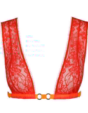 Sarda Lingerie Lovelace bralette Hibiscus